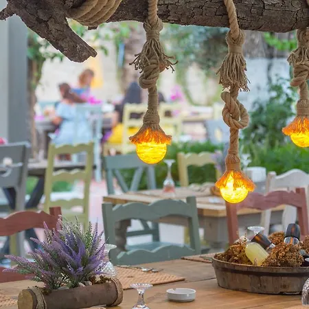Hotel Flamingo & - Pet Friendly Oludeniz