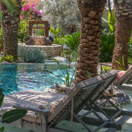 Flamingo & - Pet Friendly Hotel Oludeniz