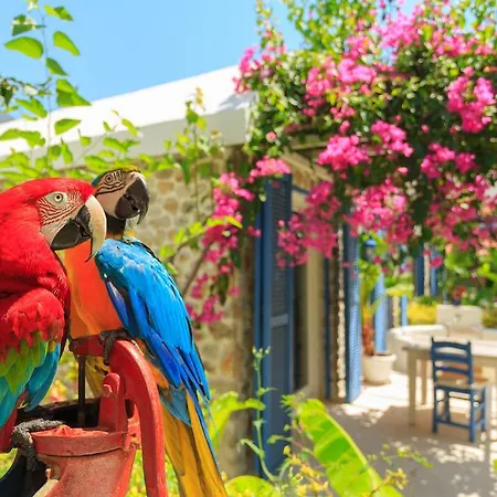 Отель Flamingo & - Pet Friendly 3*