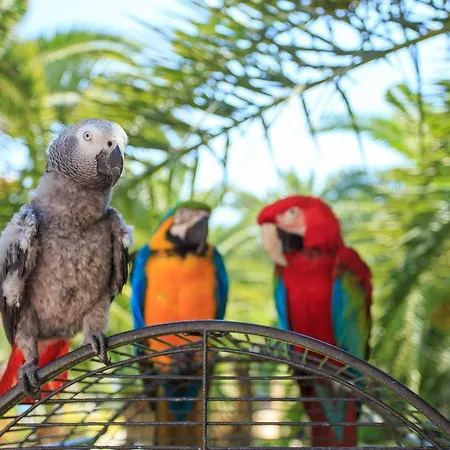Отель Flamingo & - Pet Friendly