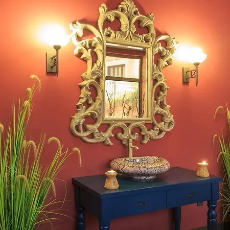 Отель Flamingo & - Pet Friendly 3*